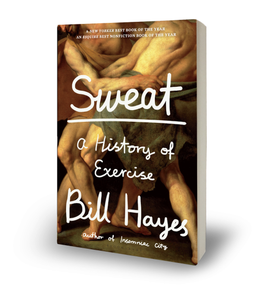 sweat-paperback-transparent copy